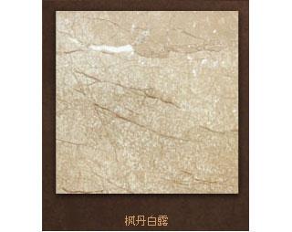  內(nèi)墻磚