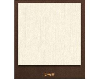  內(nèi)墻磚